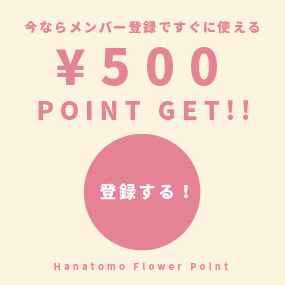 今ならメンバー登録ですぐに使える￥500POINT GET | 登録する