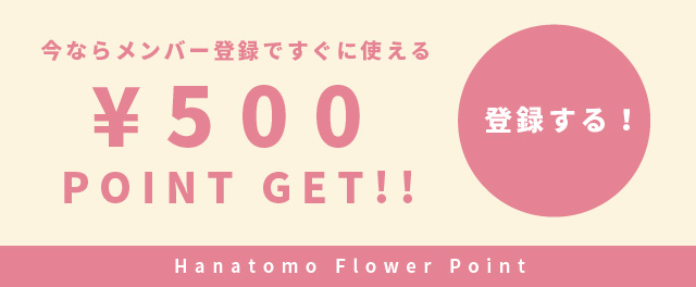 今ならメンバー登録ですぐに使える￥500POINT GET | 登録する