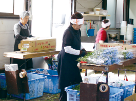 水あげ