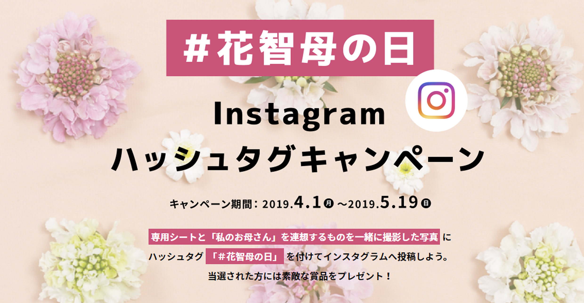 インスタグラムキャンペーン実施中 株式会社花智 東京府中 お祝い ウェディング 花祭壇 人生の節目に花を